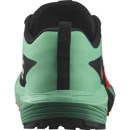 Chaussure Salomon Sense Ride 5 Nonir/Vert/Rouge