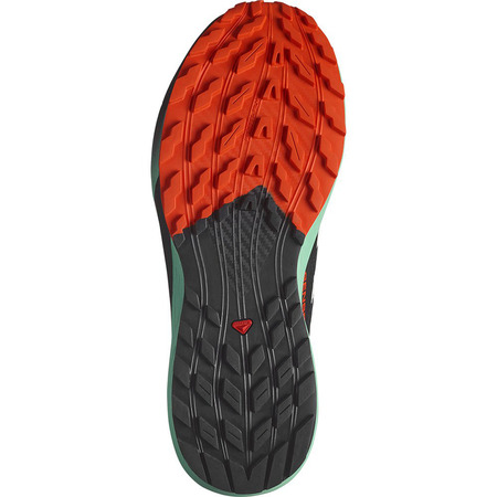 Chaussure Salomon Sense Ride 5 Nonir/Vert/Rouge