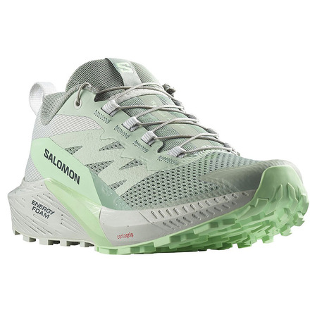 Chaussure Salomon Sense Ride 5 W Vert