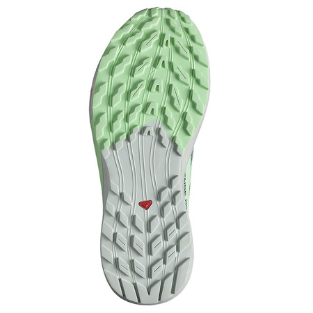 Chaussure Salomon Sense Ride 5 W Vert