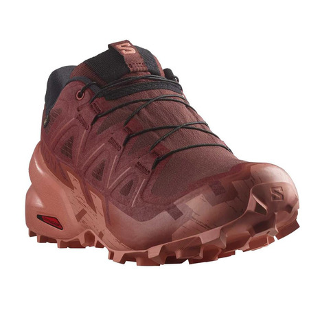 Chaussure Salomon Speedcross 6 GTX W Marron