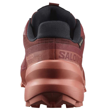 Chaussure Salomon Speedcross 6 GTX W Marron