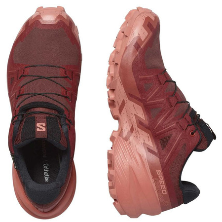 Chaussure Salomon Speedcross 6 GTX W Marron