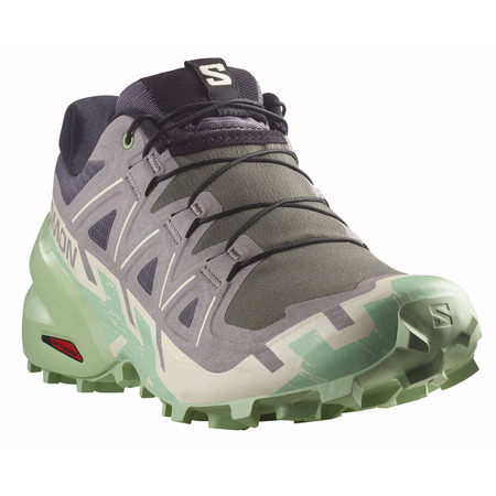 Chaussure Salomon Speedcross 6 W Gris/Vert