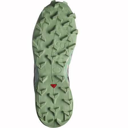 Chaussure Salomon Speedcross 6 W Gris/Vert