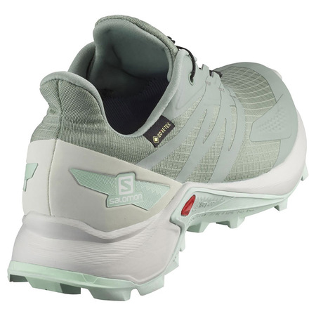 Zapatilla Salomon Supercross Blast GTX W Vert