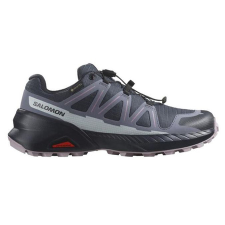 Chaussure de trail Salomon Speedcross Peak GTX W Gris/Mauve