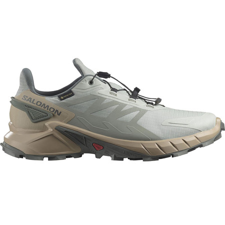 Chaussure Salomon Supercross 4 GTX Beige/Métal