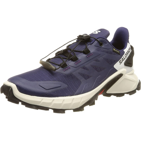 Salomon Supercrosss 4 GTX W Violet Chaussure