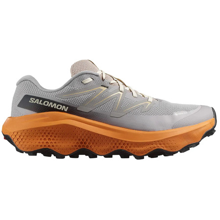 Chaussure Salomon Ultra Flow 2 GTX Gris/Orange