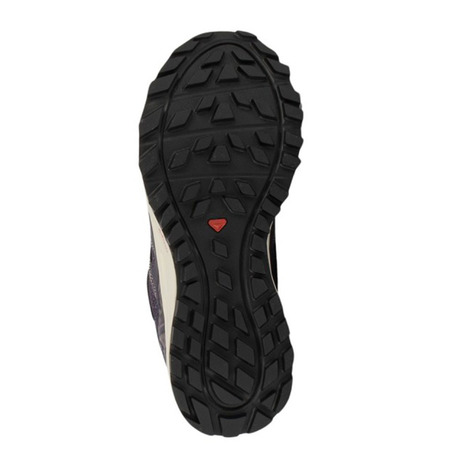 Chaussure Salomon Wander GTX W Violet