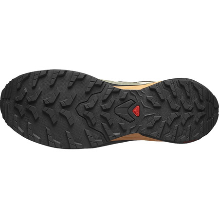 Chaussures Salomon X-Adventure GTX Beige/Vert/Noir