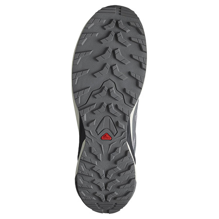 Chaussure Salomon X-Adventure GTX Gris