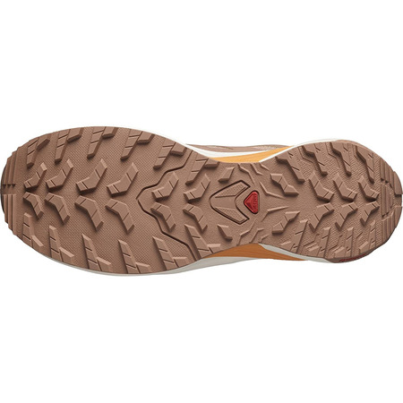Chaussure Salomon X-Adventure GTX W Marron/Rose
