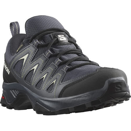 Chaussures Salomon X Braze GTX W Gris/Crème