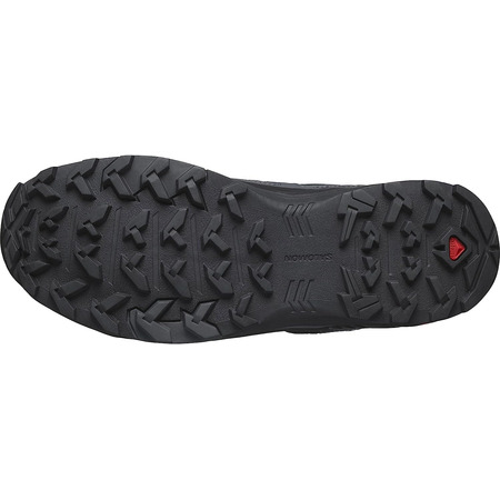 Chaussure Salomon X Braze W Gris