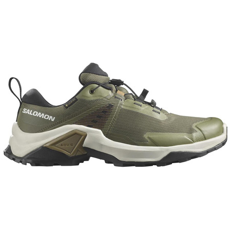 Chaussure Salomon X Raise 2 GTX Vert