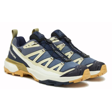 Chaussure de course Salomon X Ultra 360 Edge Beige/Bleu