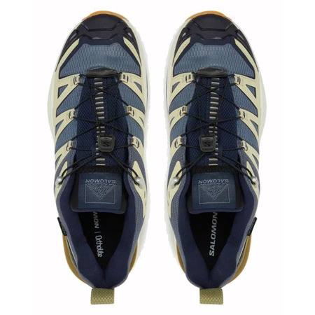 Chaussure de course Salomon X Ultra 360 Edge Beige/Bleu