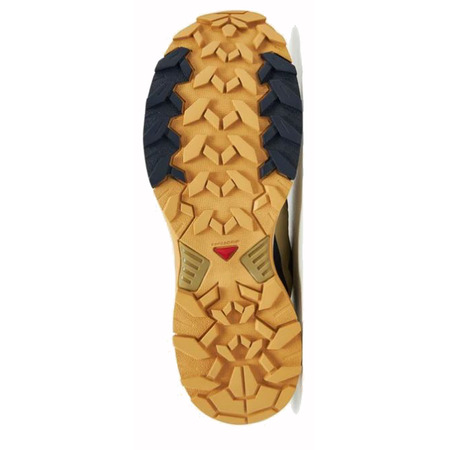 Chaussure de course Salomon X Ultra 360 Edge Beige/Bleu