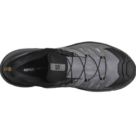Chaussure Salomon X Ultra 360 Ltr Gtx Gris