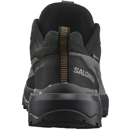 Chaussure Salomon X Ultra 360 Ltr Gtx Gris