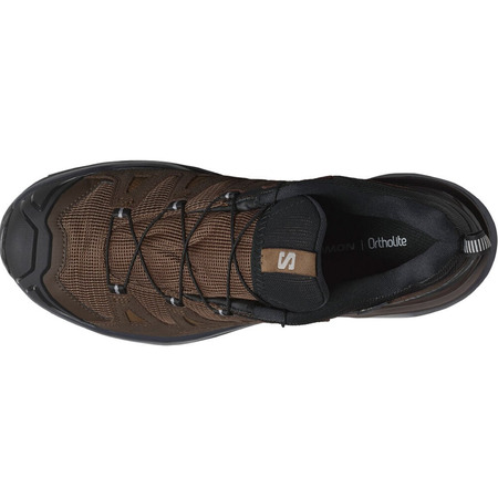 Chaussure Salomon X Ultra 360 Ltr Gtx Marron