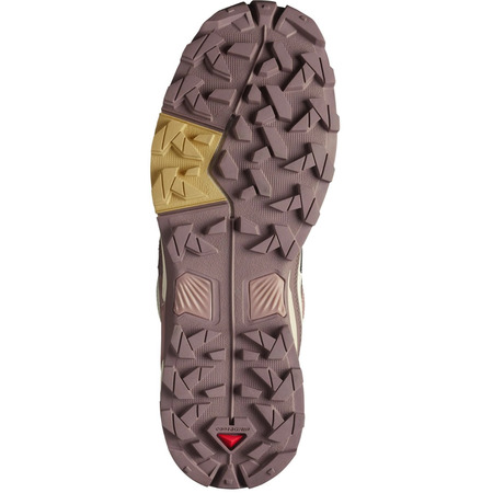 Chaussure de course Salomon X Ultra 5 GTX W Rose/Beige