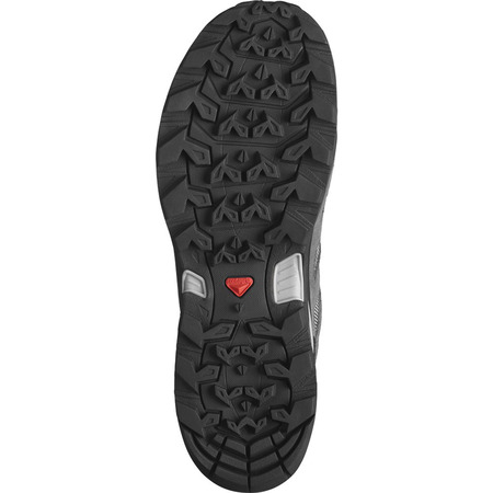 Chaussure Salomon X Ward Leather GTX W Gris/Rose