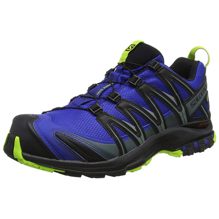 Zapatillas Salomon XA PRO 3D GTX Bleu/Négro/Lima