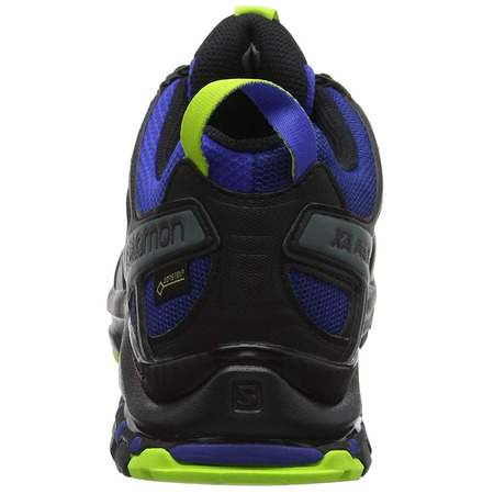 Zapatillas Salomon XA PRO 3D GTX Bleu/Négro/Lima