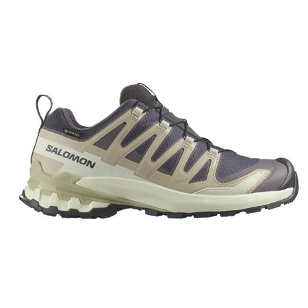 Chaussure Salomon XA PRO 3D GTX Violet/Beige