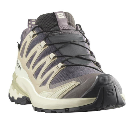 Chaussure Salomon XA PRO 3D GTX Violet/Beige