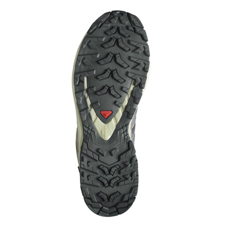 Chaussure Salomon XA PRO 3D GTX Violet/Beige