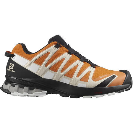 Chaussure Salomon XA PRO 3D v8 GTX Orange / Beige