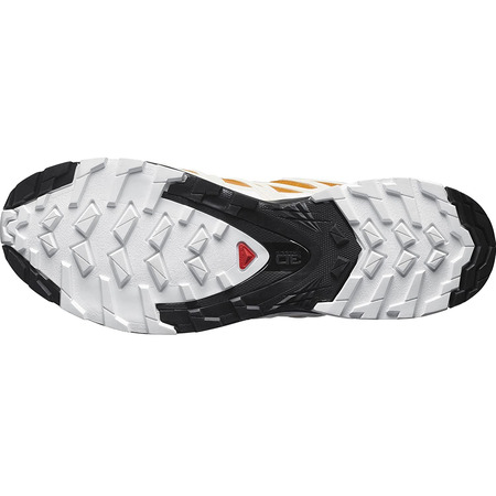 Chaussure Salomon XA PRO 3D v8 GTX Orange / Beige