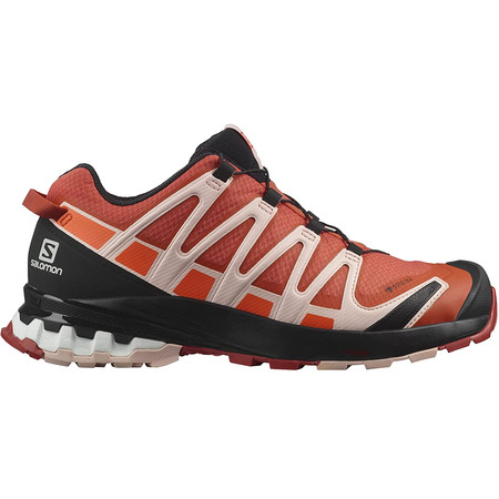 Chaussure Salomon XA PRO 3D V8 GTX W Saumon