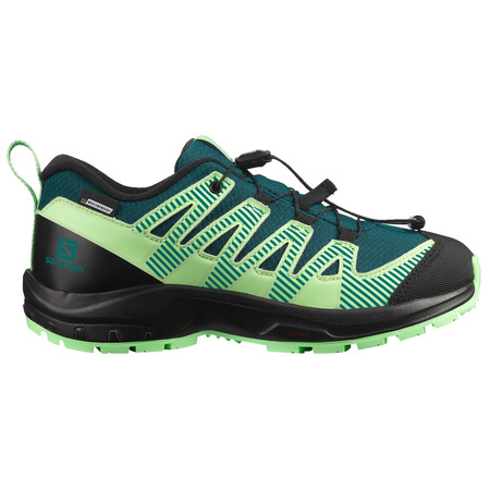 Chaussure Salomon XA PRO 3D V8 J Vert