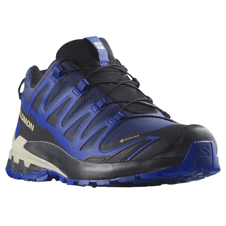 Chaussure Salomon XA PRO 3D V9 GTX Bleu