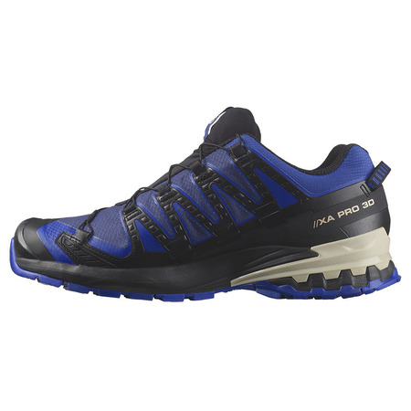 Chaussure Salomon XA PRO 3D V9 GTX Bleu