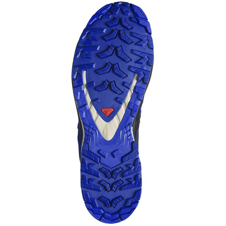 Chaussure Salomon XA PRO 3D V9 GTX Bleu