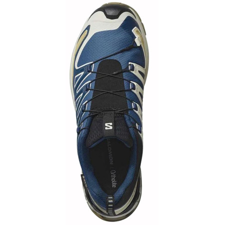Chaussure Salomon XA PRO 3D V9 GTX Bleu/Beige/Blanc
