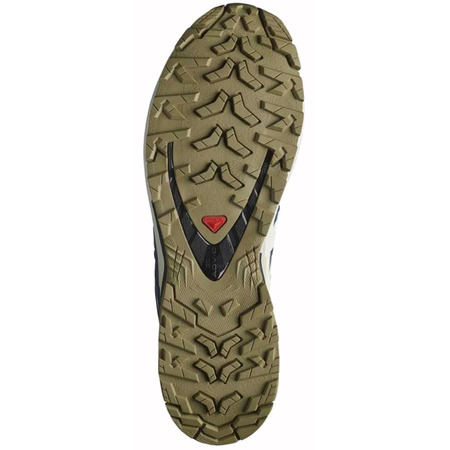 Chaussure Salomon XA PRO 3D V9 GTX Bleu/Beige/Blanc