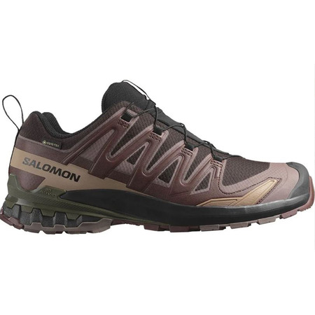 Chaussure Salomon XA PRO 3D V9 GTX marron