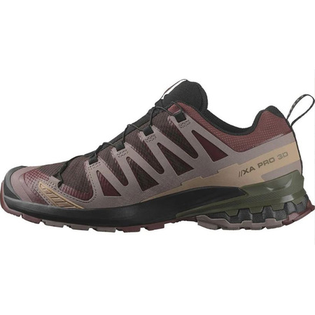 Chaussure Salomon XA PRO 3D V9 GTX marron
