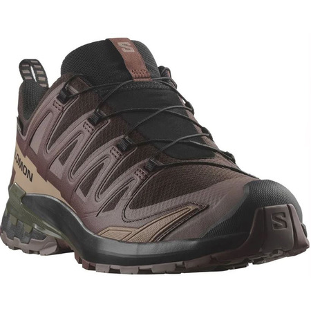 Chaussure Salomon XA PRO 3D V9 GTX marron