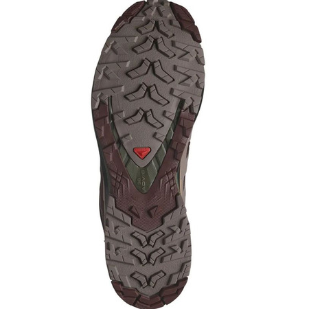 Chaussure Salomon XA PRO 3D V9 GTX marron