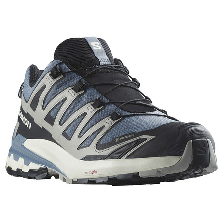 Chaussure Salomon XA PRO 3D V9 GTX Gris/Noir