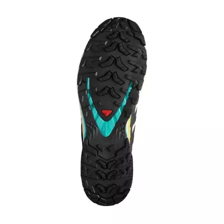 Chaussure Salomon XA PRO 3D V9 GTX Multicolore