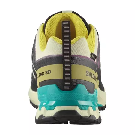 Chaussure Salomon XA PRO 3D V9 GTX Multicolore